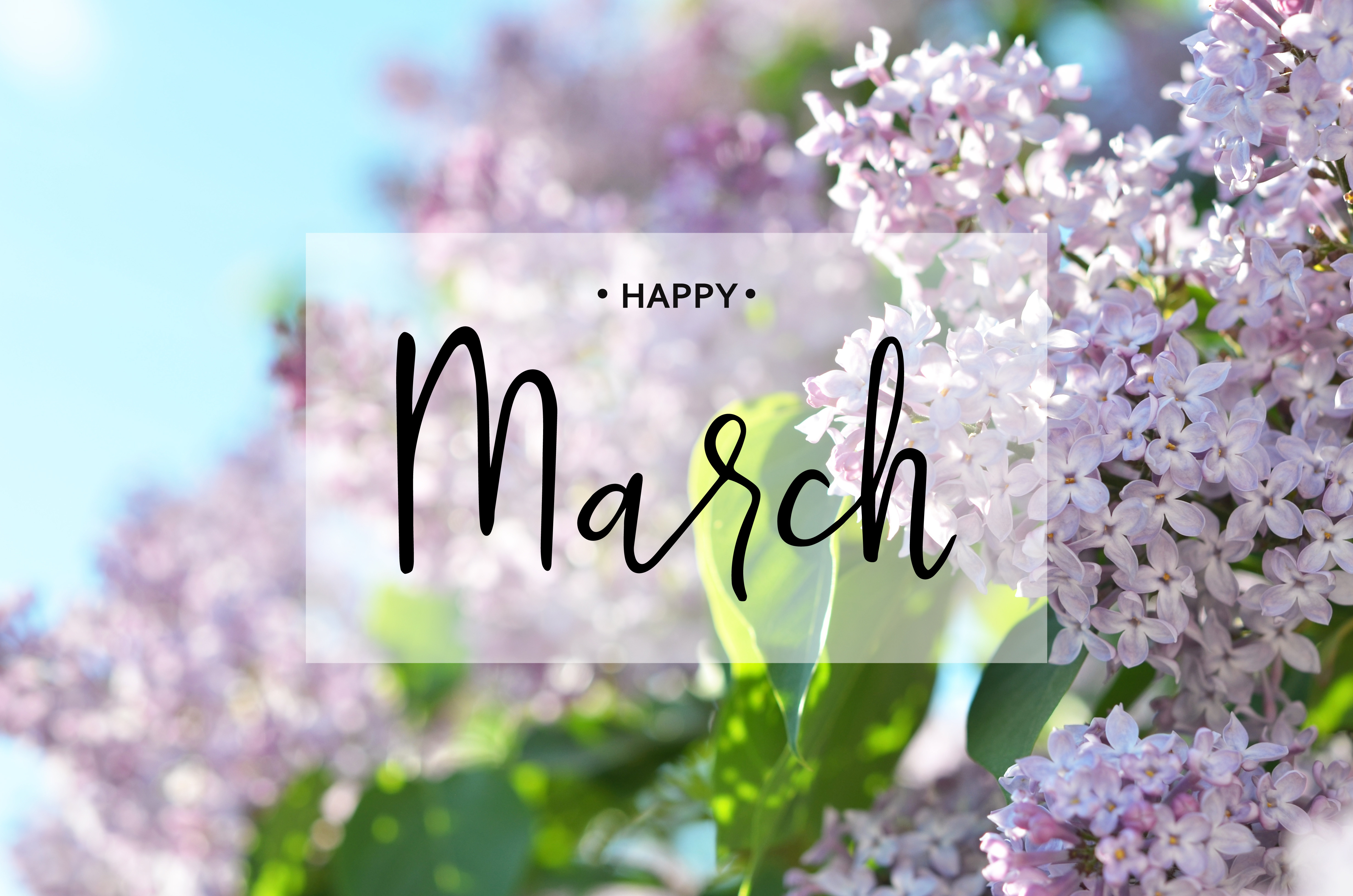 March Marketing Trends: March Madness, Spring Break, International Women’s Day, Pi Day, and the Spring Equinox